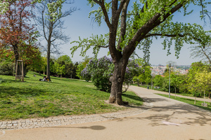 Riegrovy sady