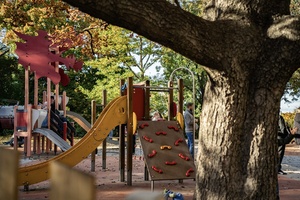dětské hřiště Riegrovy sady