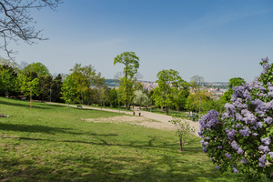 Riegrovy sady