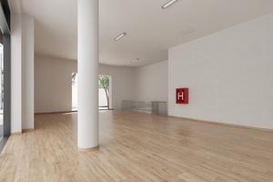 vizualizace, komerční prostory