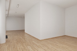 vizualizace, komerční prostory